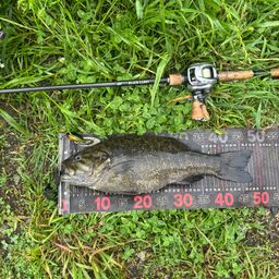 スモールマウスバス