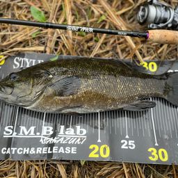 スモールマウスバス