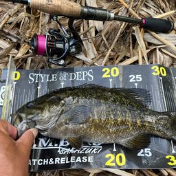 スモールマウスバス