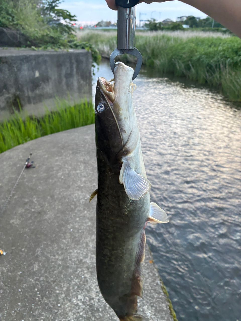 FIRSTCAST FCC-702X バスロッド 7フィート FIRST CAST BASS BAIT | メジャークラフト｜Major Craft Web