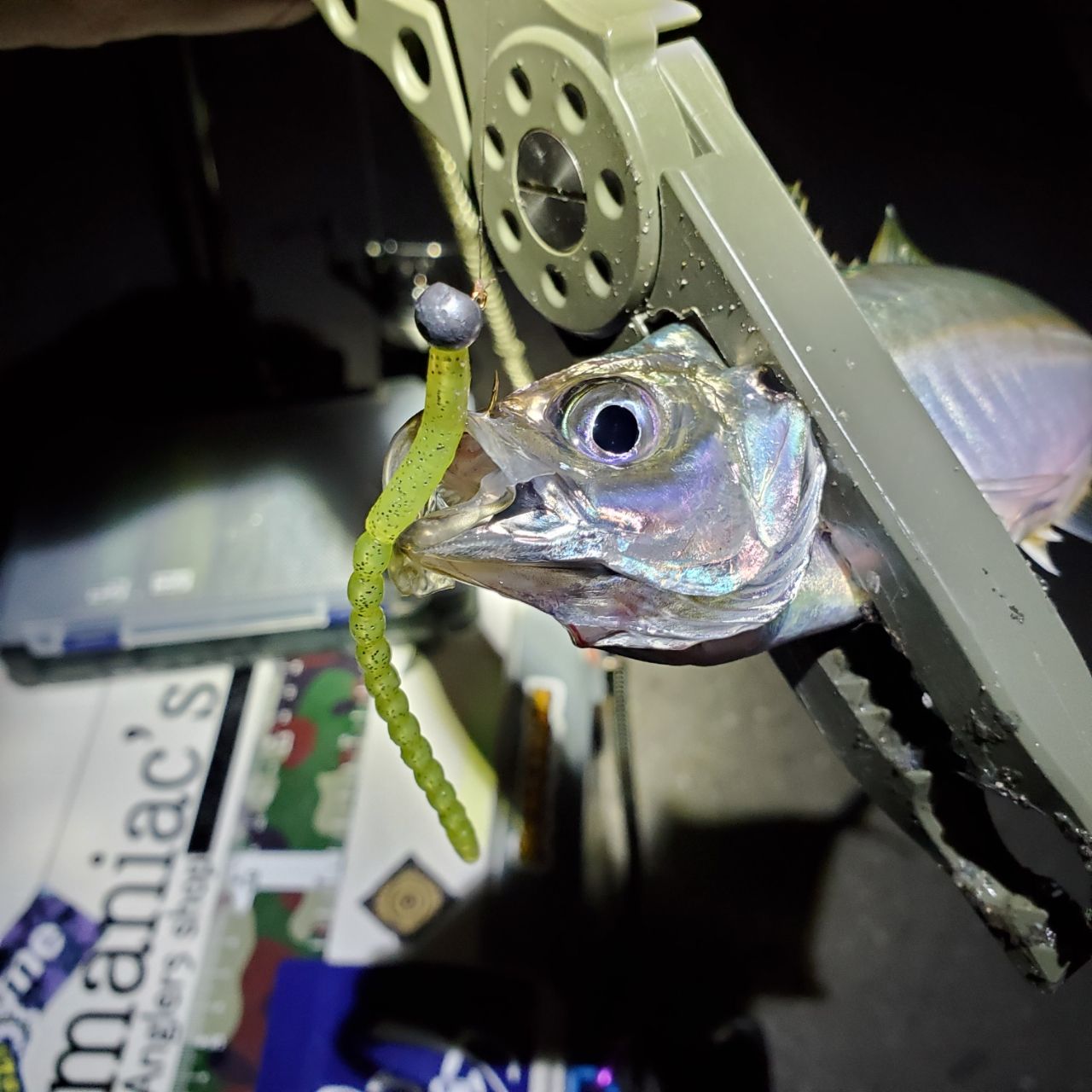 アジ