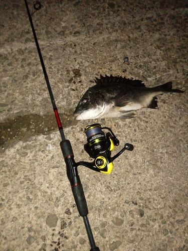 釣果