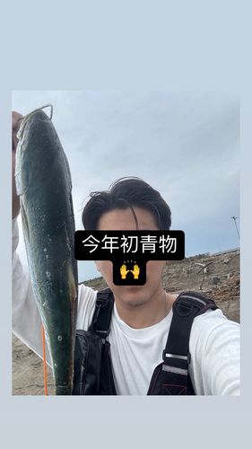 イナダの釣果