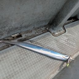 タチウオ