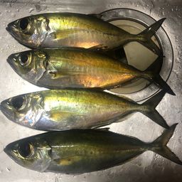 メアジ
