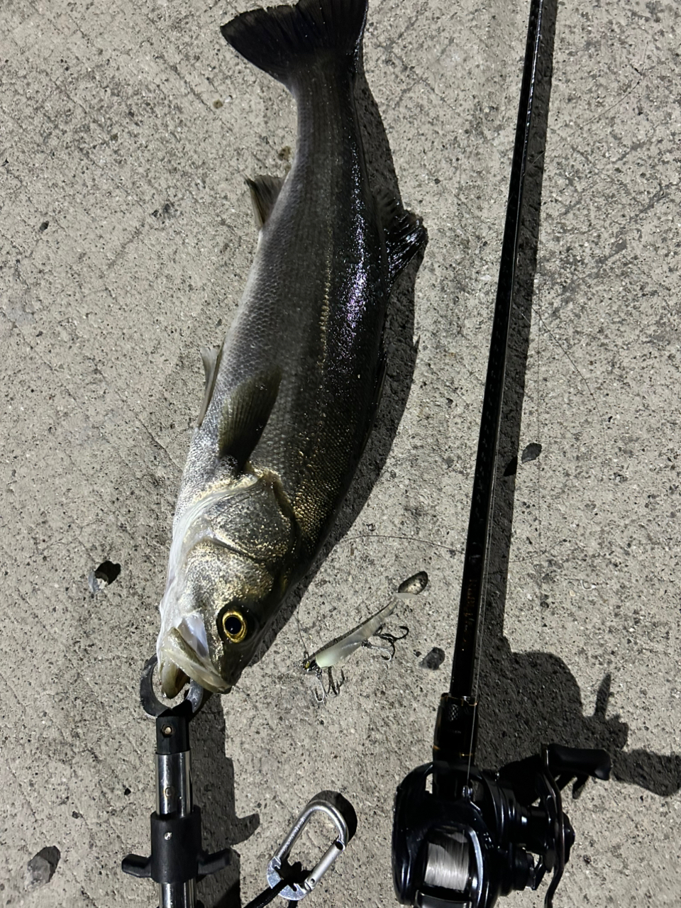 DAIWA 20リベリオン（センターカット2ピース スピニングモデル