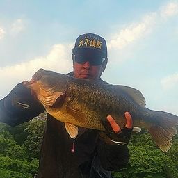 ラージマウスバス