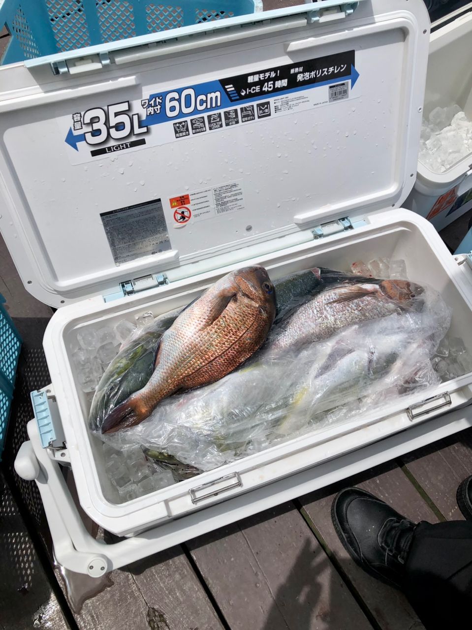 DAIWA 17シーパラダイス M-400・Eの最安値・インプレ・釣果 | 本音の