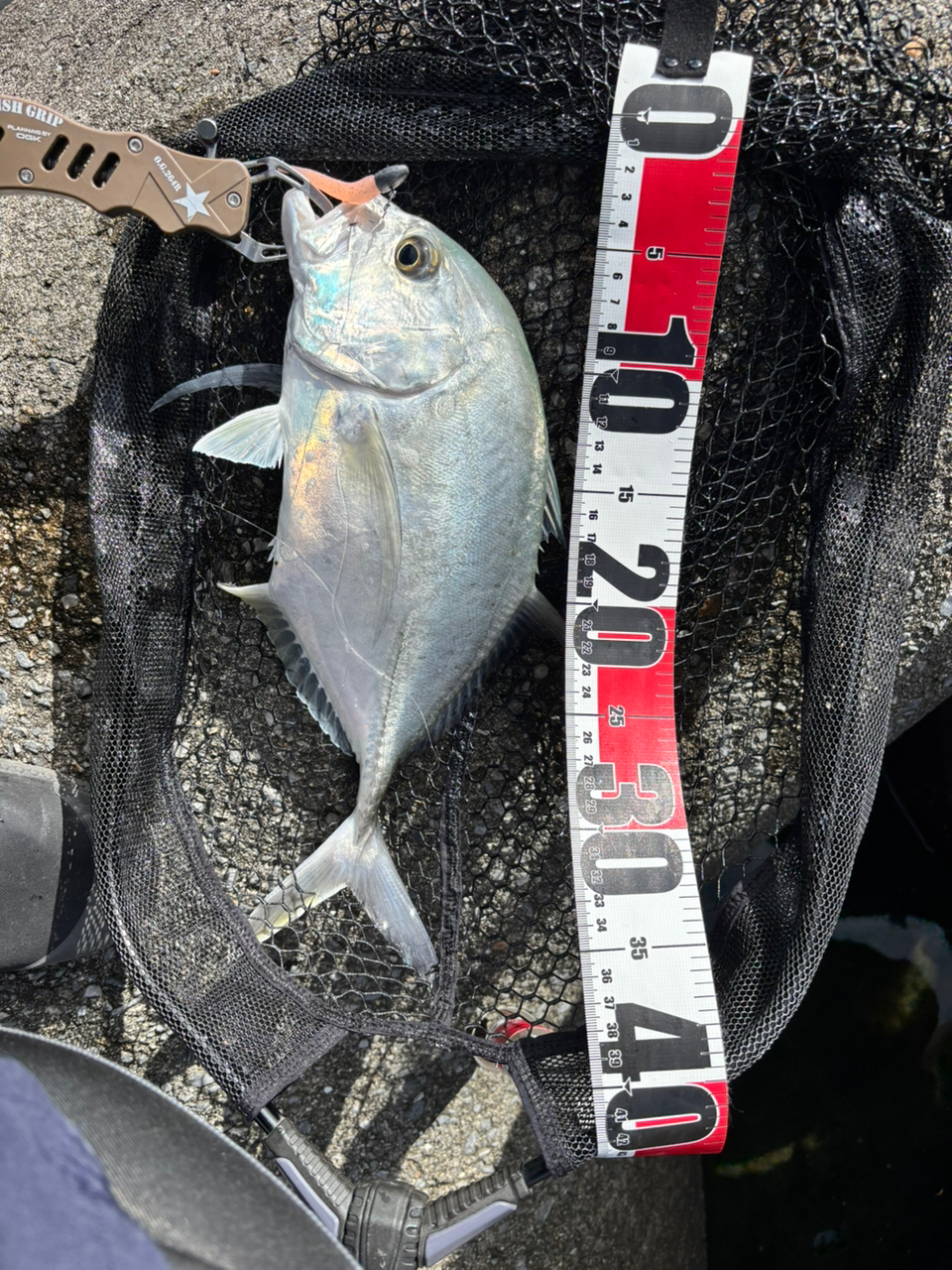 SHIMANO 21スコーピオン XV 2602R-2の最安値・インプレ・釣果