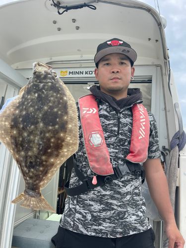 ヒラメの釣果