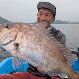 マダイ
