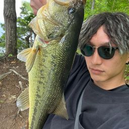 ラージマウスバス