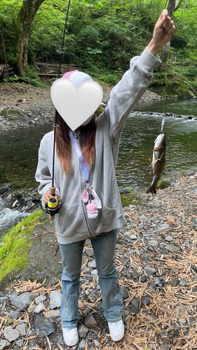 大丹波川国際虹ます釣り場