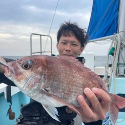 マダイ