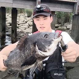 チヌ