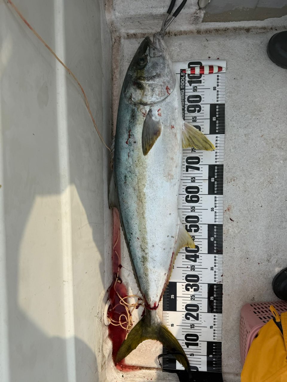 シマノ　ゲームタイプLJ B62-1/FS SHIMANO GAME Type LJ B62-1/FS フルソリッド