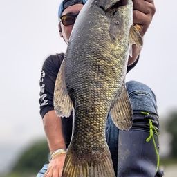 スモールマウスバス