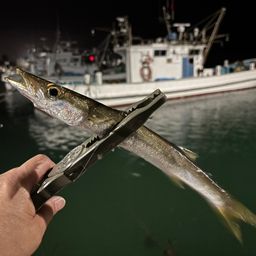 カマス