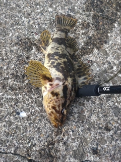 釣果