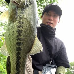 ブラックバス