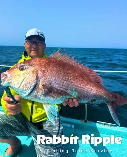 タイの釣果