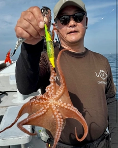 タコの釣果