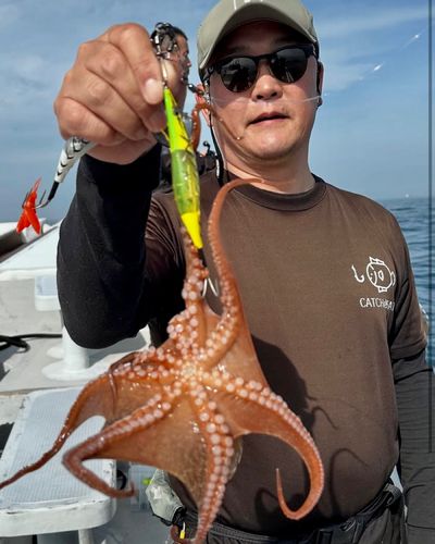 タコの釣果