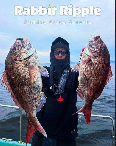 タイの釣果