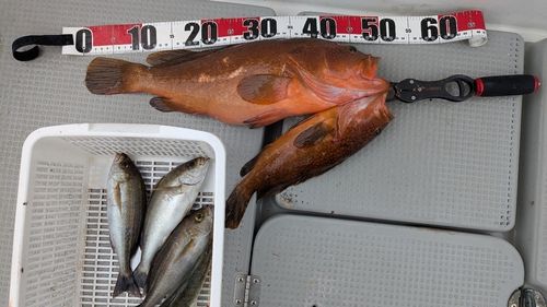 釣果