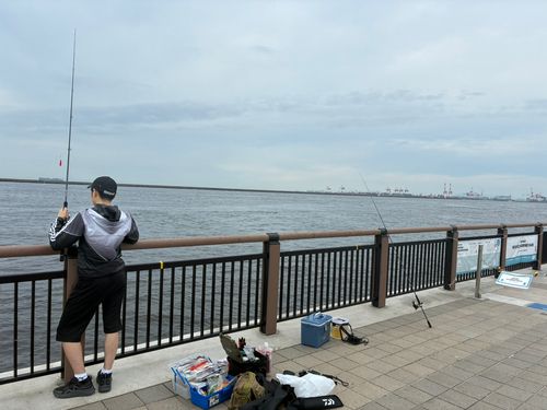マアジの釣果