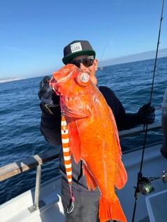 釣果