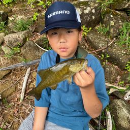 スモールマウスバス