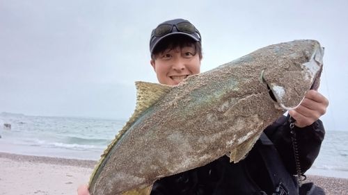 ブリの釣果