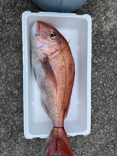 タイ