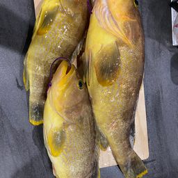 アオナ