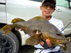 アイナメの釣果