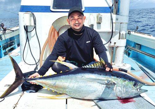 キハダマグロの釣果