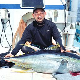 キハダマグロ