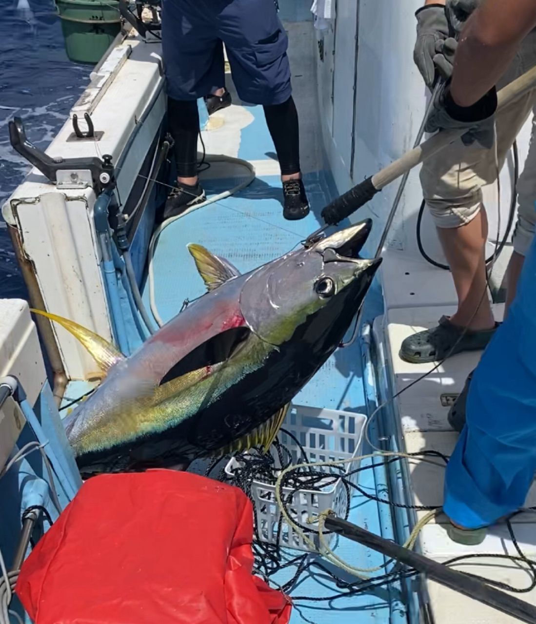 since 2020さんの釣果 2枚目の画像