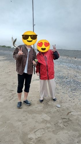 シロギスの釣果