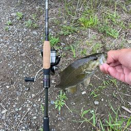 スモールマウスバス