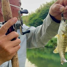 スモールマウスバス