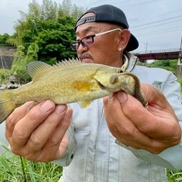 スモールマウスバス