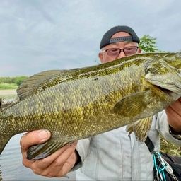 スモールマウスバス