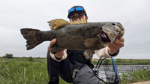 スモールマウスバス