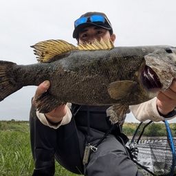 スモールマウスバス