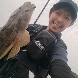 マゴチ