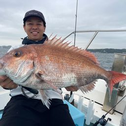 マダイ