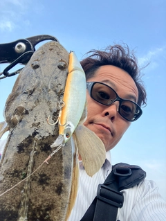 マゴチの釣果