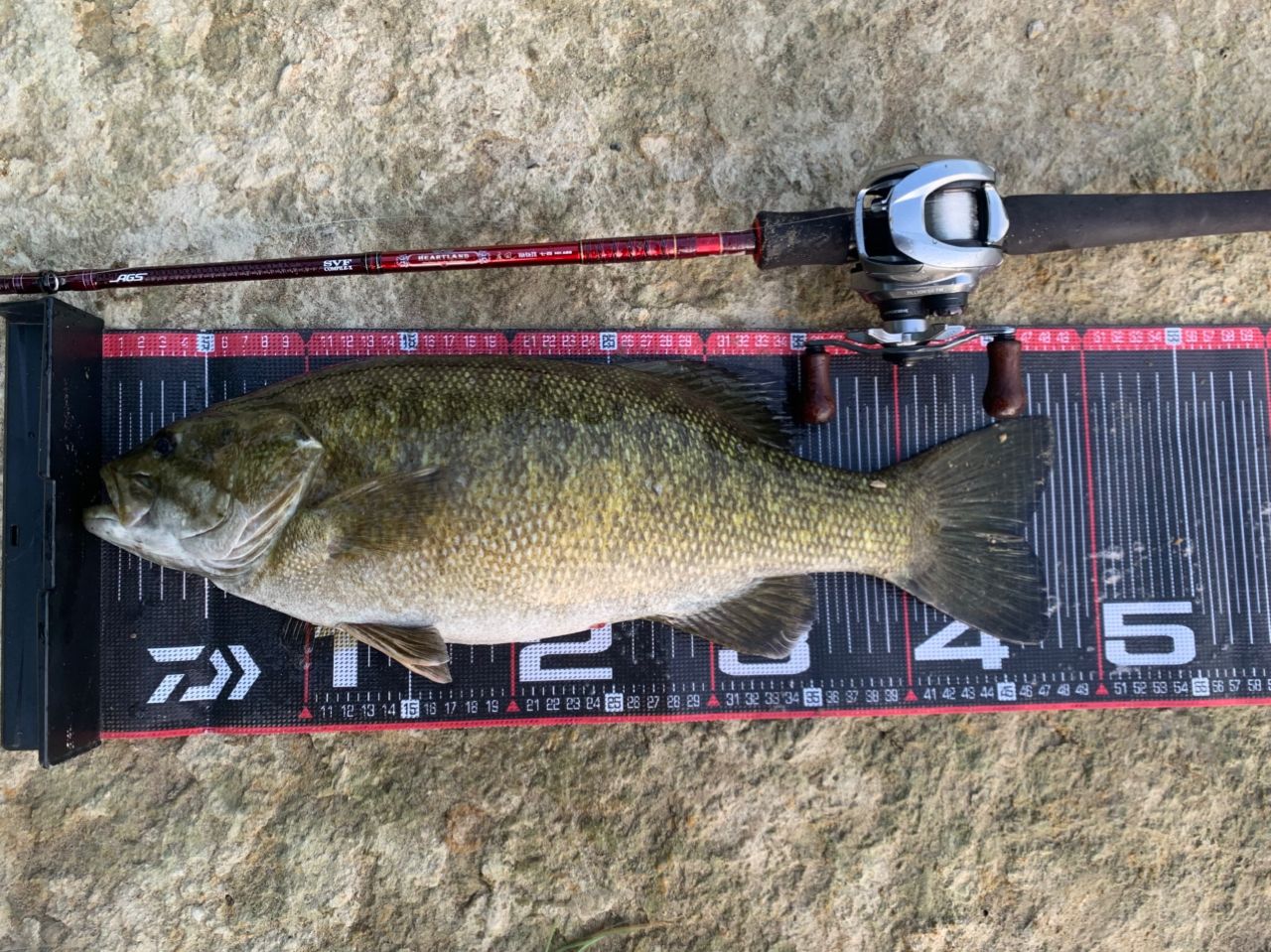 スモールマウスバス